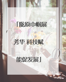 陇原巾帼展芳华 科技赋能促发展