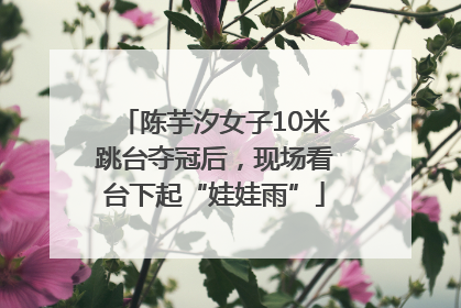 陈芋汐女子10米跳台夺冠后，现场看台下起“娃娃雨”
