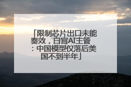 限制芯片出口未能奏效，白宫AI主管：中国模型仅落后美国不到半年