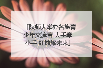 陕师大举办各族青少年交流营 大手牵小手 红烛耀未来