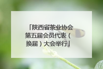 陕西省茶业协会第五届会员代表（换届）大会举行