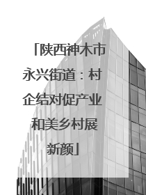 陕西神木市永兴街道：村企结对促产业 和美乡村展新颜