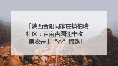 陕西合阳同家庄镇柏瑞社区：百亩杏园迎丰收 果农走上“杏”福路