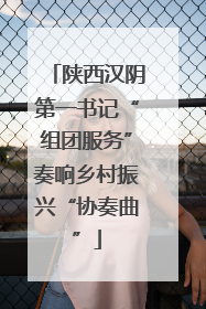 陕西汉阴第一书记“组团服务”奏响乡村振兴“协奏曲”