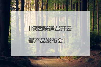 陕西联通召开云智产品发布会