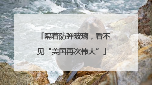 隔着防弹玻璃，看不见“美国再次伟大”