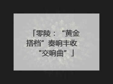 零陵：“黄金搭档”奏响丰收“交响曲”