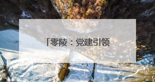 零陵：党建引领 做强蔬菜产业