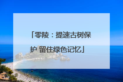 零陵：提速古树保护 留住绿色记忆
