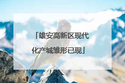 雄安高新区现代化产城雏形已现
