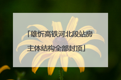 雄忻高铁河北段站房主体结构全部封顶