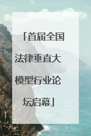 首届全国法律垂直大模型行业论坛启幕