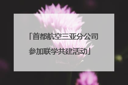 首都航空三亚分公司参加联学共建活动