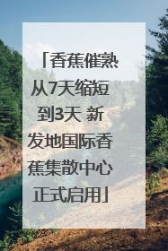 香蕉催熟从7天缩短到3天 新发地国际香蕉集散中心正式启用