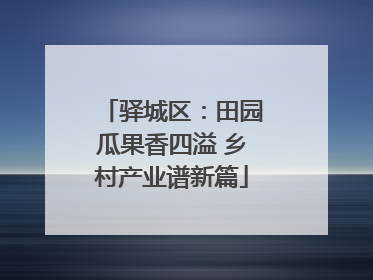驿城区：田园瓜果香四溢 乡村产业谱新篇