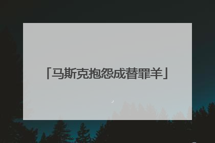 马斯克抱怨成替罪羊