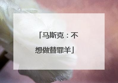 马斯克：不想做替罪羊