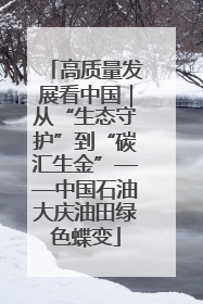 高质量发展看中国｜从“生态守护”到“碳汇生金”——中国石油大庆油田绿色蝶变