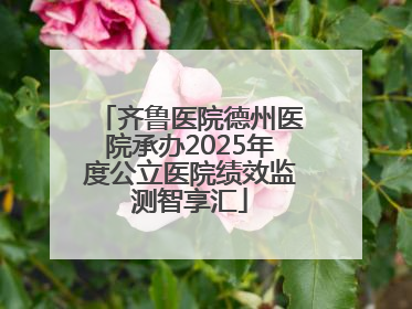 齐鲁医院德州医院承办2025年度公立医院绩效监测智享汇