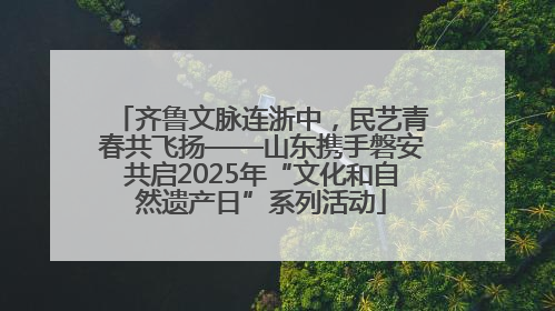 齐鲁文脉连浙中，民艺青春共飞扬——山东携手磐安共启2025年“文化和自然遗产日”系列活动