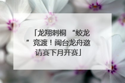 龙翔刺桐 “蛟龙”竞渡！闽台龙舟邀请赛下月开赛