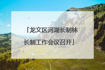 龙文区河湖长制林长制工作会议召开