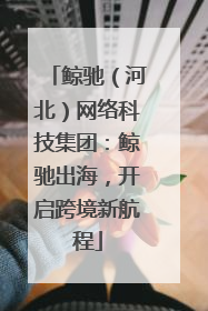 鲸驰（河北）网络科技集团：鲸驰出海，开启跨境新航程