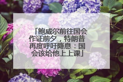 鲍威尔前往国会作证前夕，特朗普再度呼吁降息：国会该给他上上课