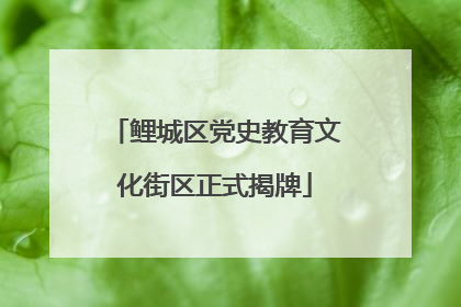 鲤城区党史教育文化街区正式揭牌