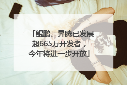 鲲鹏、昇腾已发展超665万开发者，今年将进一步开放