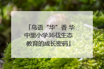 鸟语“华”香 华中里小学36载生态教育的成长密码
