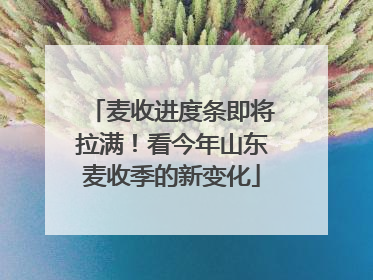 麦收进度条即将拉满！看今年山东麦收季的新变化