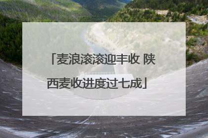 麦浪滚滚迎丰收 陕西麦收进度过七成