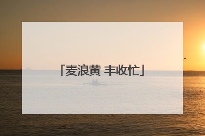 麦浪黄 丰收忙