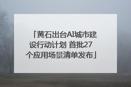 黄石出台AI城市建设行动计划 首批27个应用场景清单发布