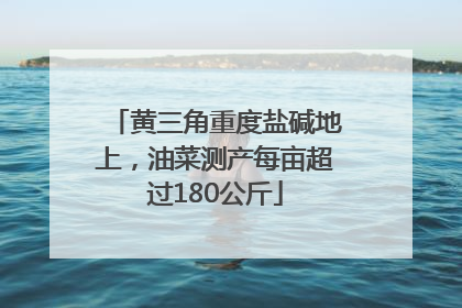 黄三角重度盐碱地上，油菜测产每亩超过180公斤