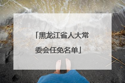黑龙江省人大常委会任免名单