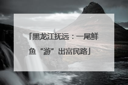 黑龙江抚远：一尾鲜鱼“游”出富民路