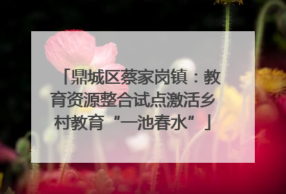 鼎城区蔡家岗镇：教育资源整合试点激活乡村教育“一池春水”