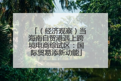 （经济观察）当海南自贸港遇上跨境电商综试区：国际贸易添新动能