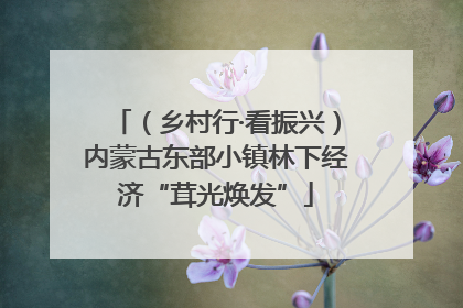 （乡村行·看振兴）内蒙古东部小镇林下经济“茸光焕发”