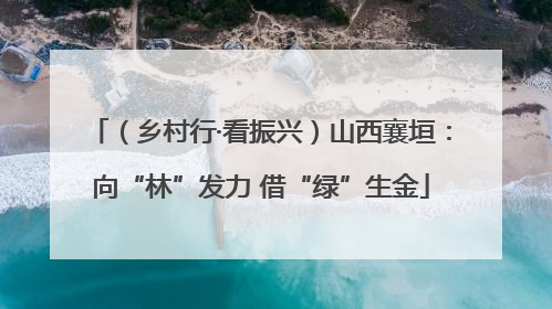 （乡村行·看振兴）山西襄垣：向“林”发力 借“绿”生金