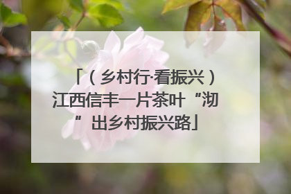 （乡村行·看振兴）江西信丰一片茶叶“沏”出乡村振兴路