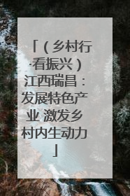 （乡村行·看振兴）江西瑞昌：发展特色产业 激发乡村内生动力
