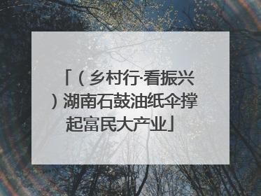 （乡村行·看振兴）湖南石鼓油纸伞撑起富民大产业