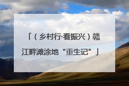 （乡村行·看振兴）赣江畔滩涂地“重生记”