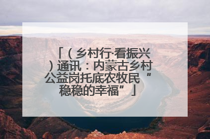（乡村行·看振兴）通讯：内蒙古乡村公益岗托底农牧民“稳稳的幸福”