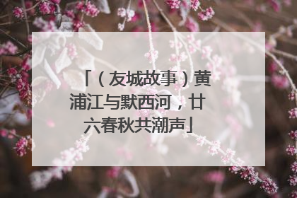 （友城故事）黄浦江与默西河，廿六春秋共潮声