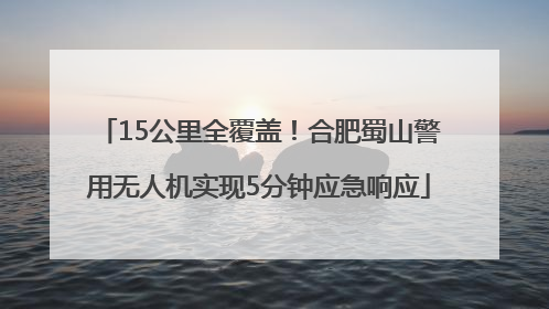 15公里全覆盖！合肥蜀山警用无人机实现5分钟应急响应