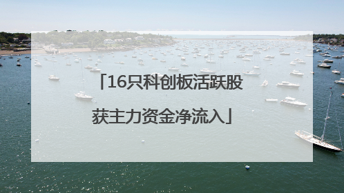 16只科创板活跃股获主力资金净流入